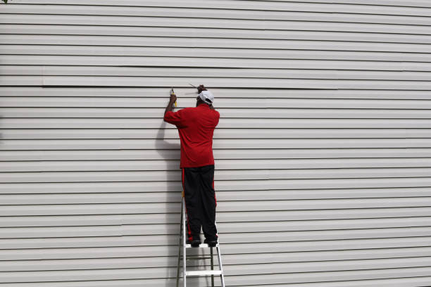 Best Stone Veneer Siding  in Telford, TN